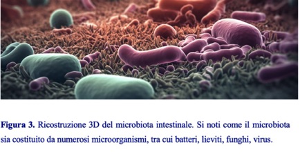 Il MIcrobiota Intestinale
